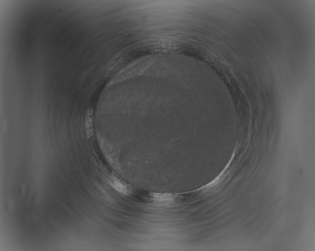 X0000076030144200610061428