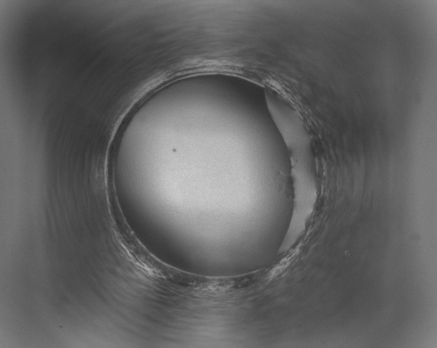 X0000076030148200610061427