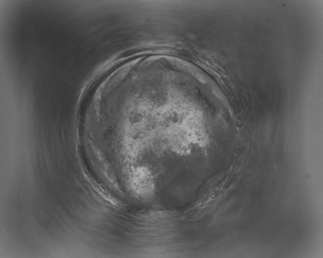 X0000076030149200610061427