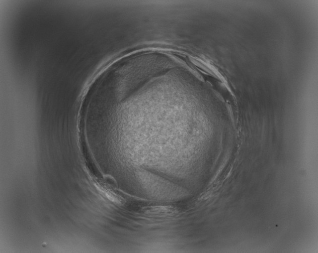 X0000076030151200610061427