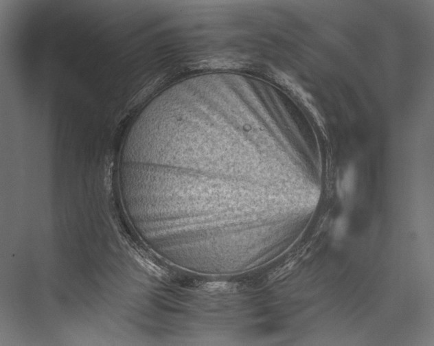 X0000076030153200610061427