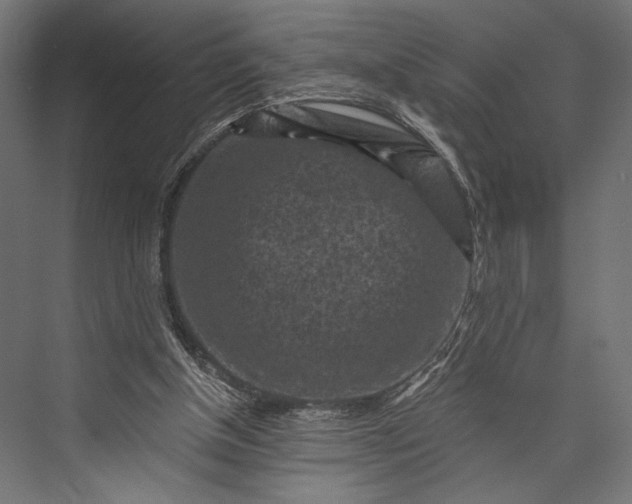 X0000076030154200610061427