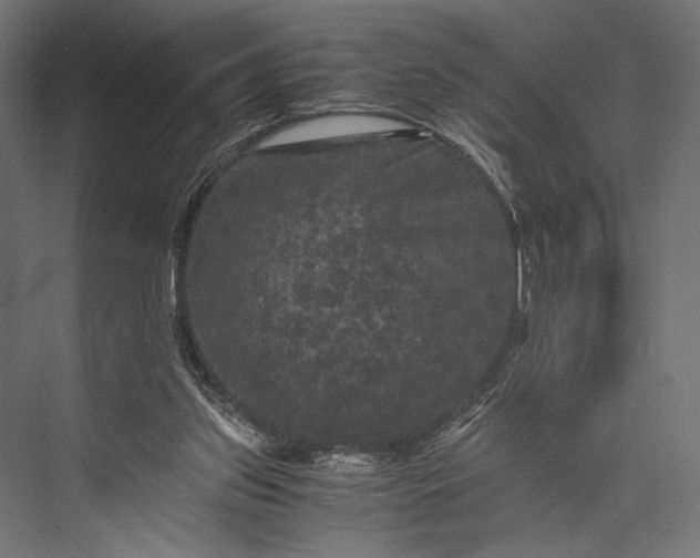 X0000076030157200610061427