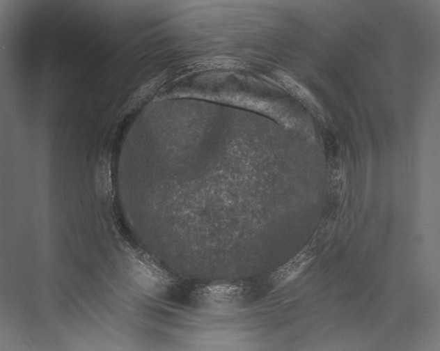 X0000076030158200610061427