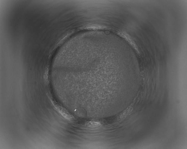 X0000076030159200610061427