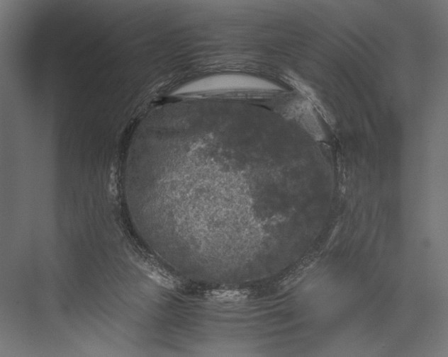 X0000076030161200610061427