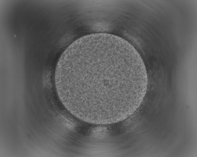 X0000076030162200610061427