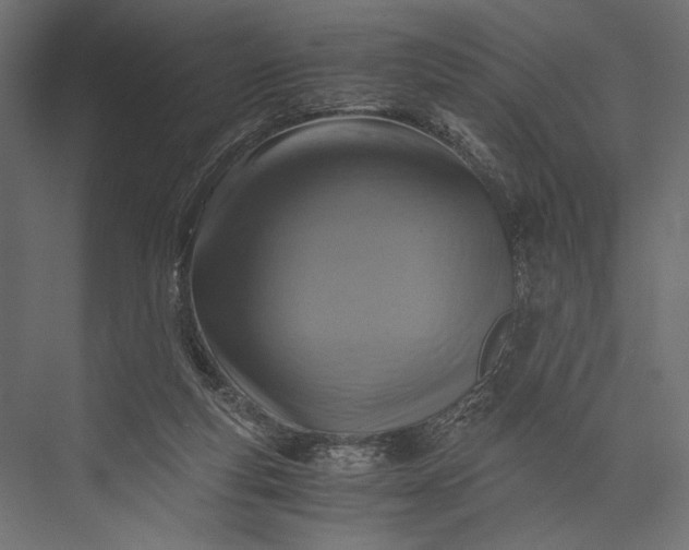 X0000076030163200610061427