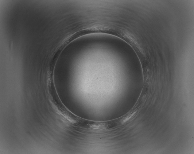 X0000076030164200610061427