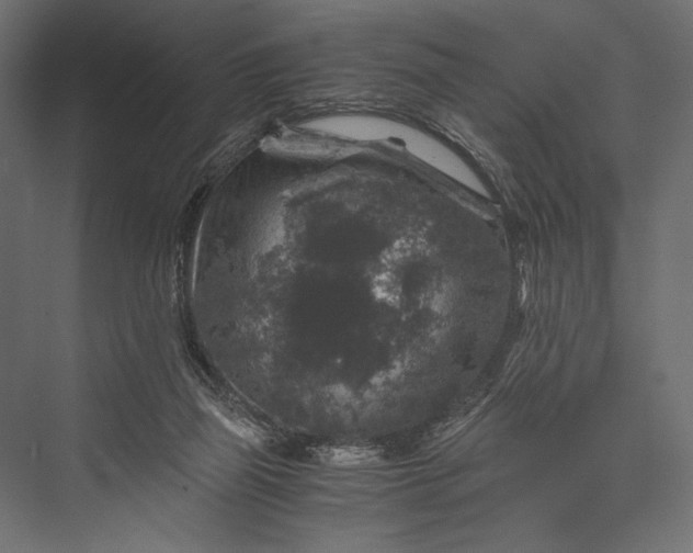 X0000076030165200610061427