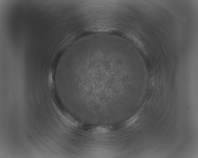 X0000076030166200610061427