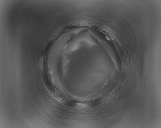 X0000076030167200610061427