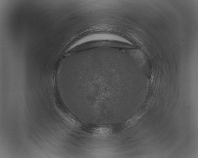 X0000076030168200610061427