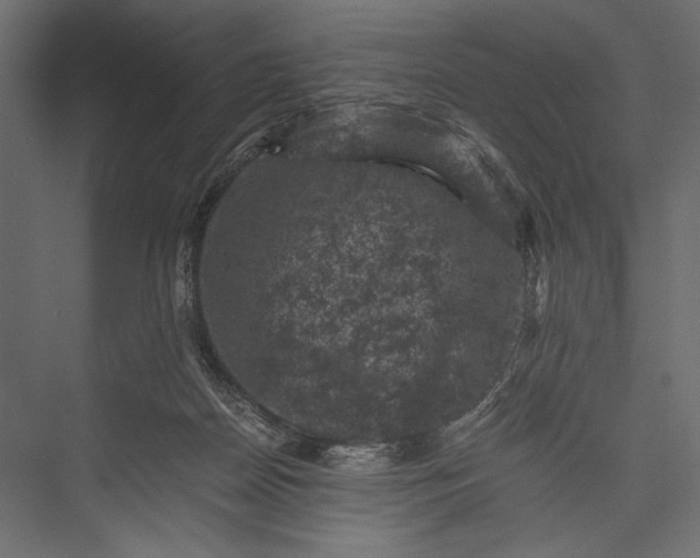 X0000076030170200610061427