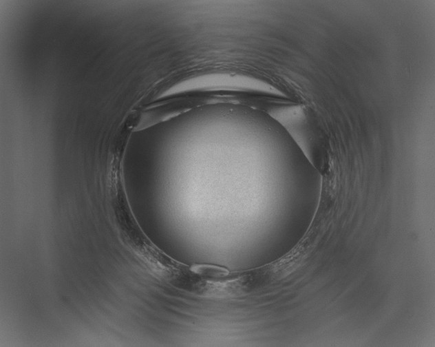 X0000076030172200610061427