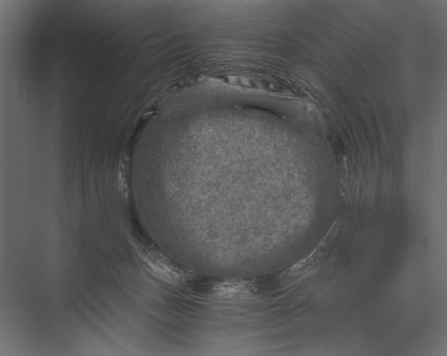 X0000076030175200610061427