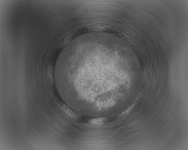 X0000076030178200610061427