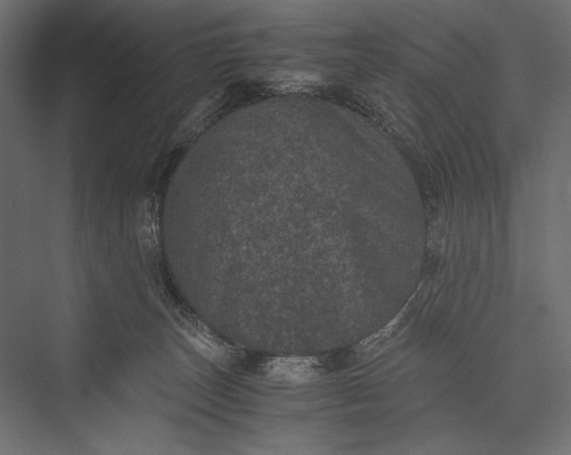 X0000076030179200610061427