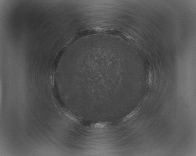 X0000076030180200610061427