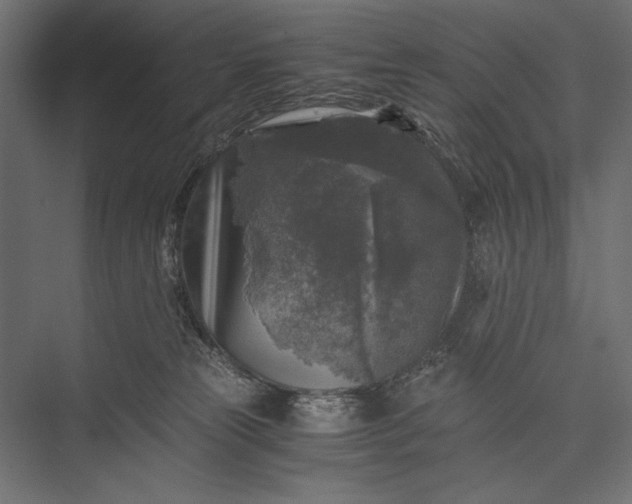 X0000076030181200610061427