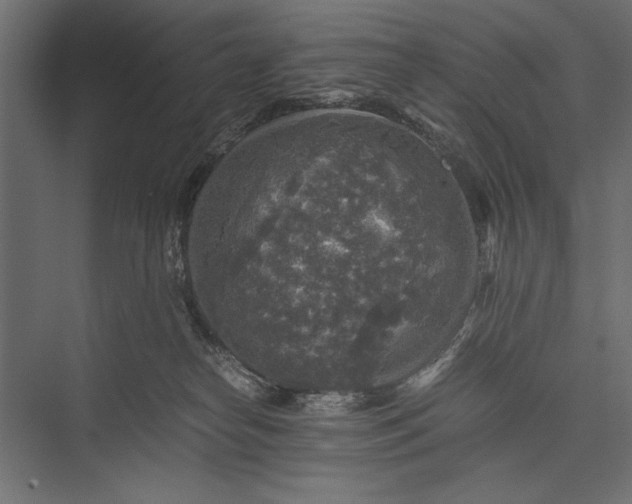 X0000076030182200610061427