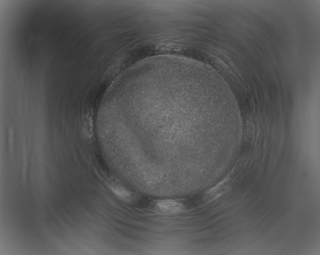 X0000076030183200610061427