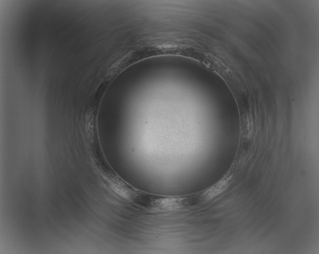 X0000076030184200610061427