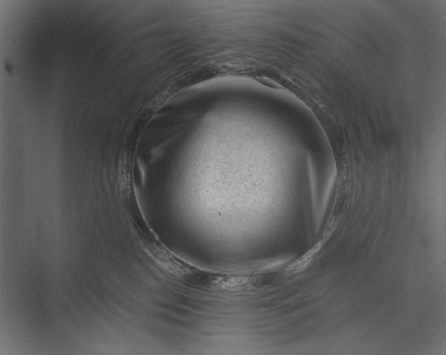 X0000076030186200610061427