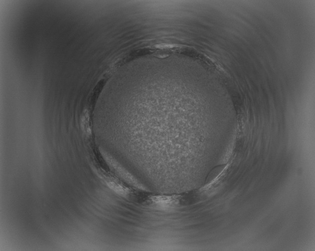 X0000076030187200610061427