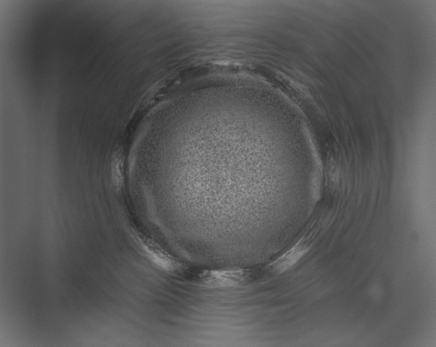 X0000076030188200610061428