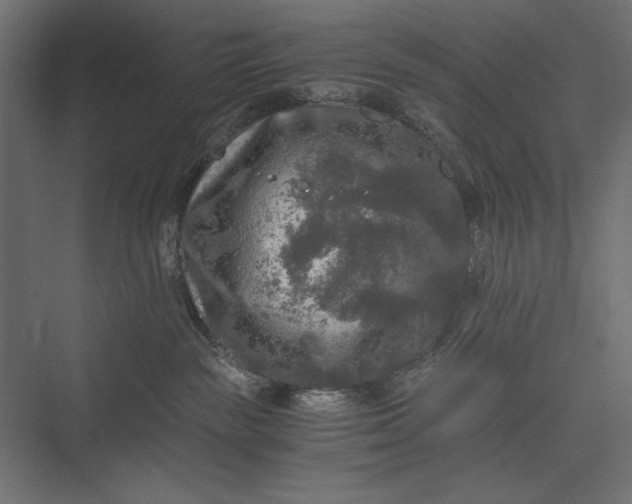 X0000076030189200610061428