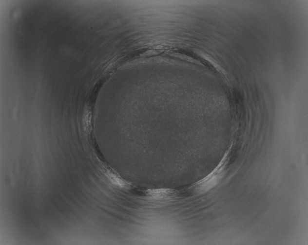 X0000076030192200610061428