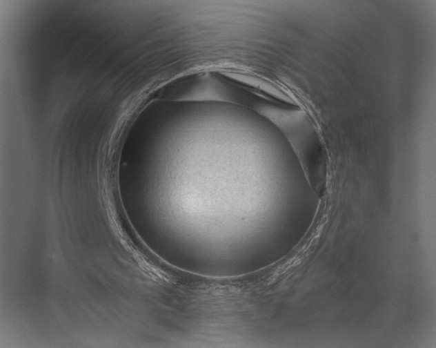 X0000076030193200610061427