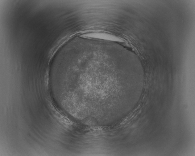 X0000076030194200610061427