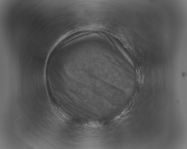 X0000076030196200610061427