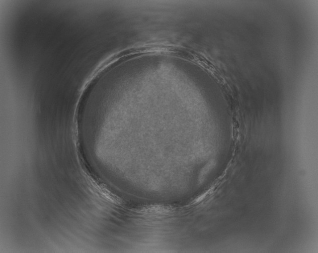 X0000076030198200610061427