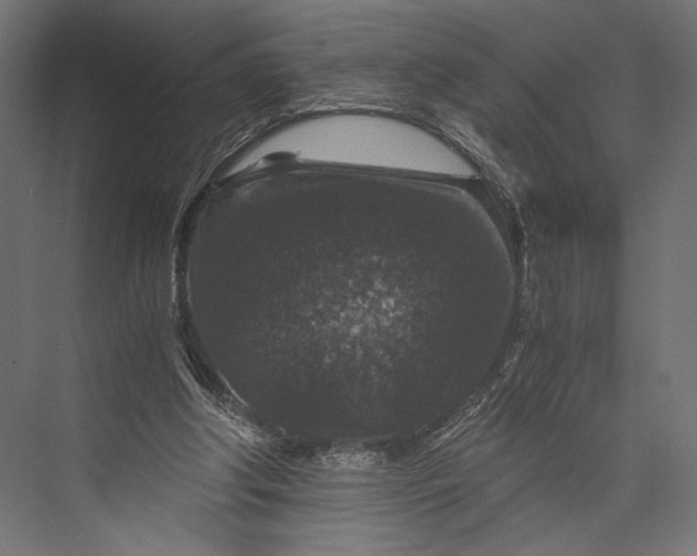 X0000076030202200610061427