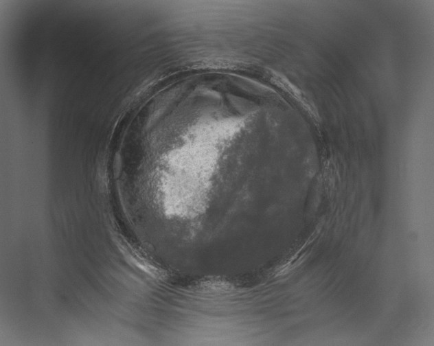 X0000076030203200610061427