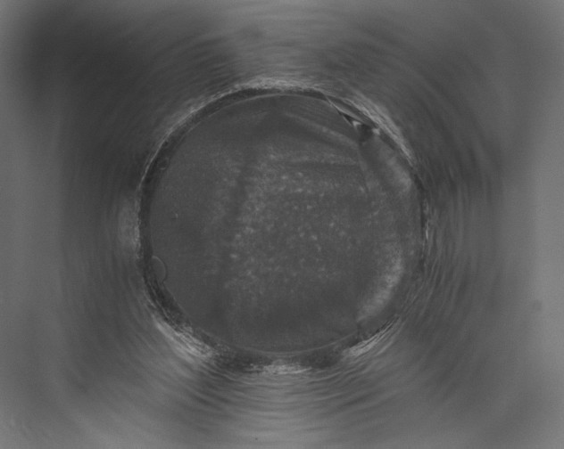 X0000076030204200610061427