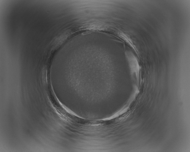 X0000076030205200610061427