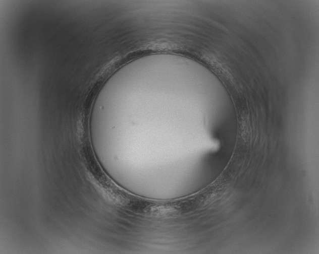 X0000076030208200610061427