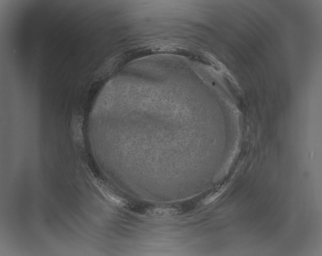 X0000076030209200610061426