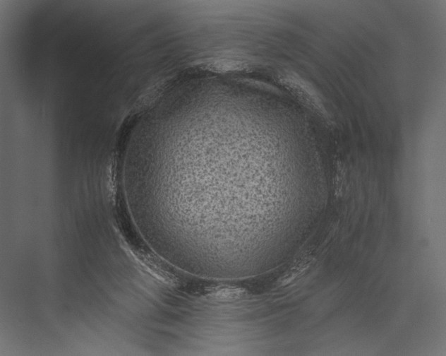 X0000076030210200610061426