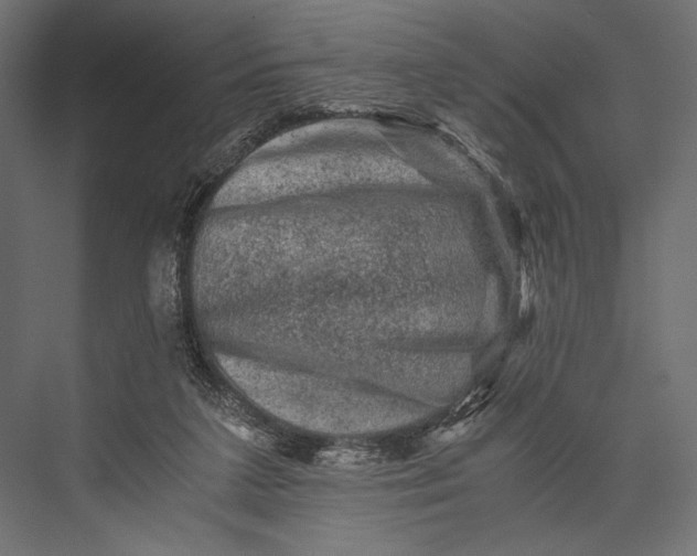 X0000076030211200610061426