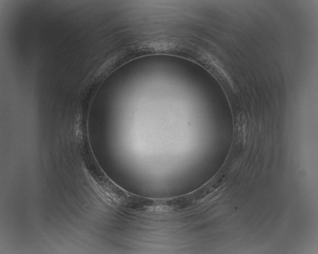 X0000076030212200610061426