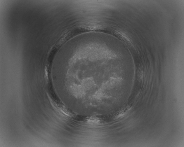 X0000076030214200610061426