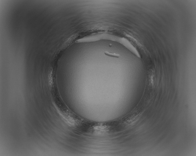 X0000076030216200610061426