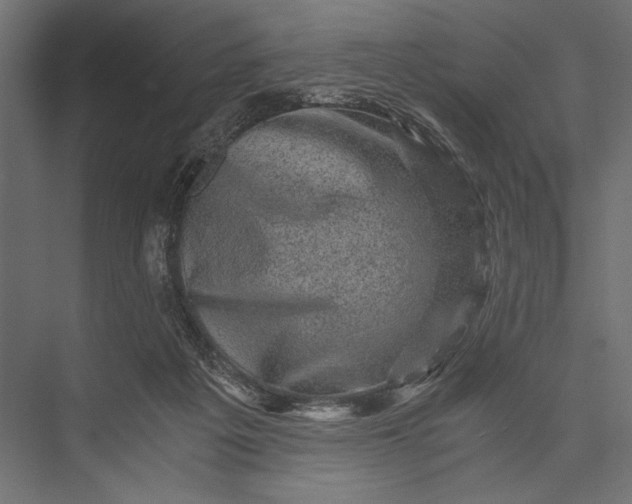 X0000076030217200610061426