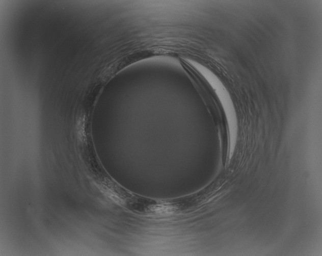 X0000076030219200610061426