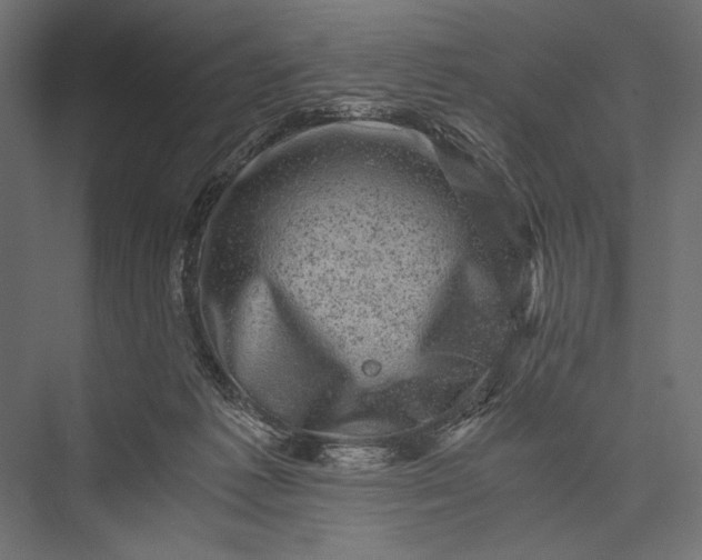 X0000076030221200610061426